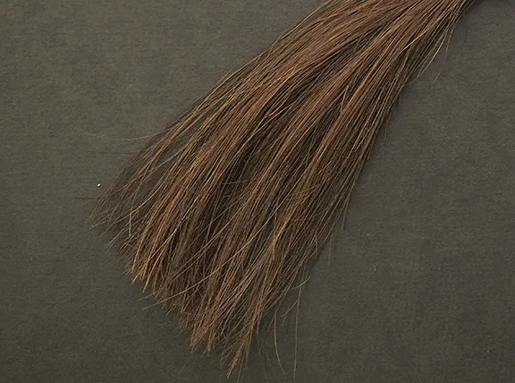 プリオールカラーコンディショナーによるブリーチ毛のテスト