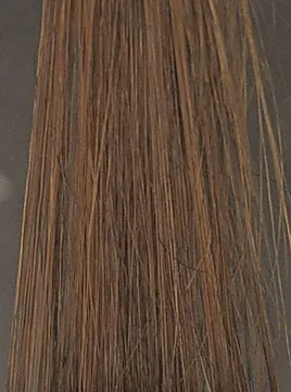 プリオールダークブラウンブリーチ毛1回染毛