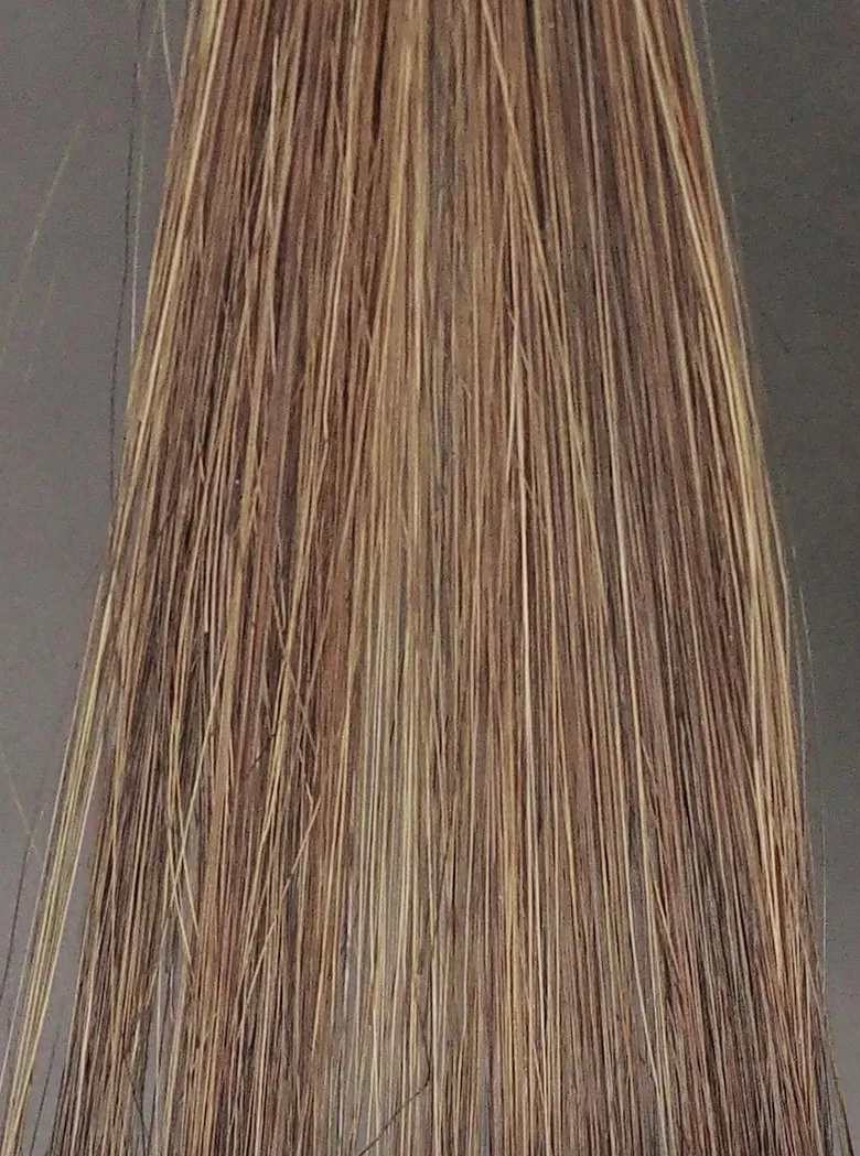 プリオールダークブラウンブリーチ毛2回染毛