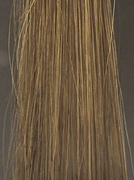 プリオールダークブラウンハイブリーチ毛1回染毛