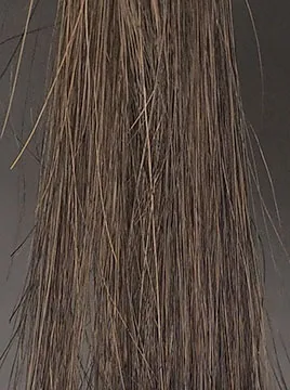 プリオールダークブラウンハイブリーチ毛3回染毛