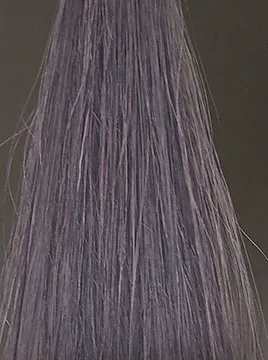 プリオールグレイ4回染毛