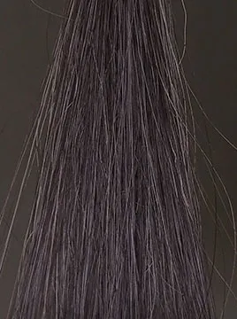 プリオールグレイ50%白髪4回染毛