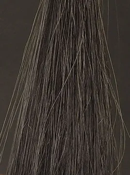 利尻ブラック1回染毛