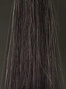 利尻ブラック3回染毛