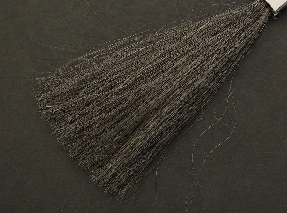 サロンドプロ カラートリートメントでの5回染毛時