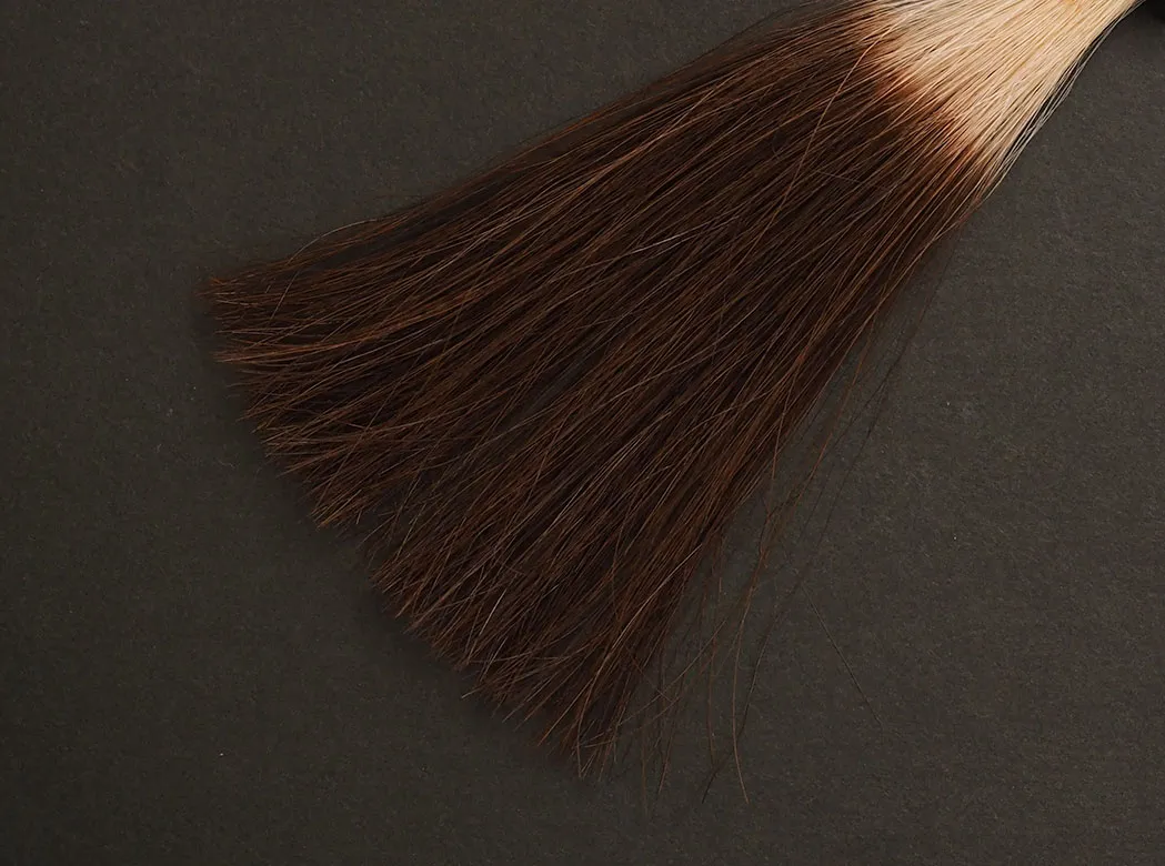 サイオス カラートリートメント ライトブラウン5回染毛時