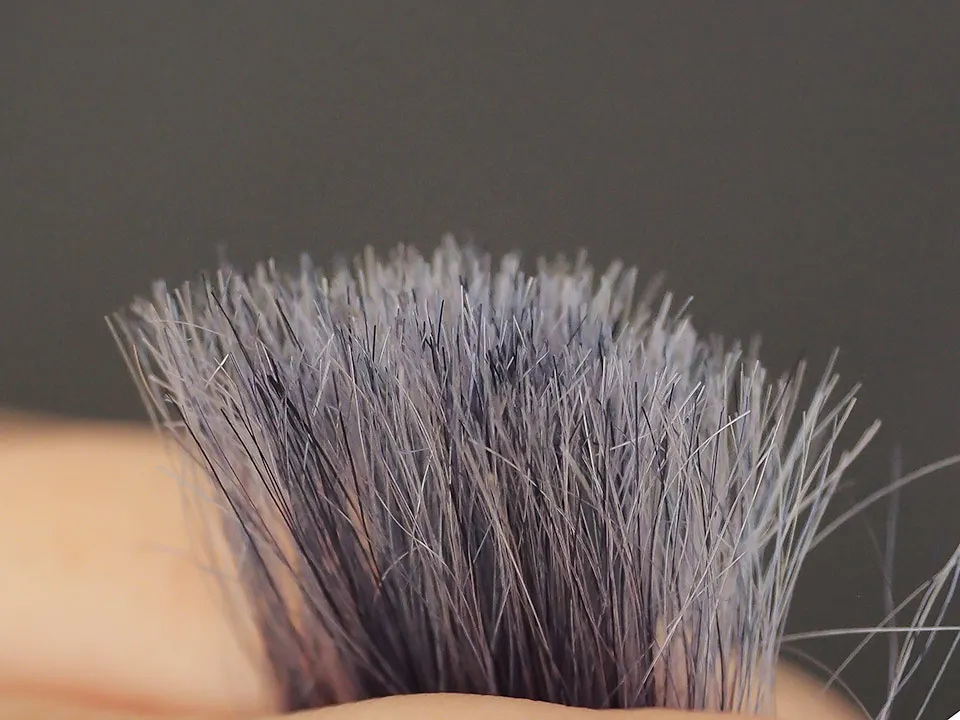 テンスターカラーシャンプーブラックの染毛写真