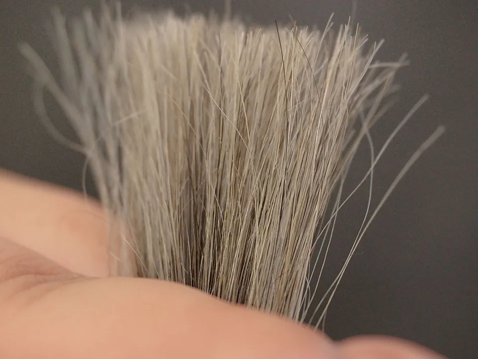 モデムビューティーブラウンの染毛写真