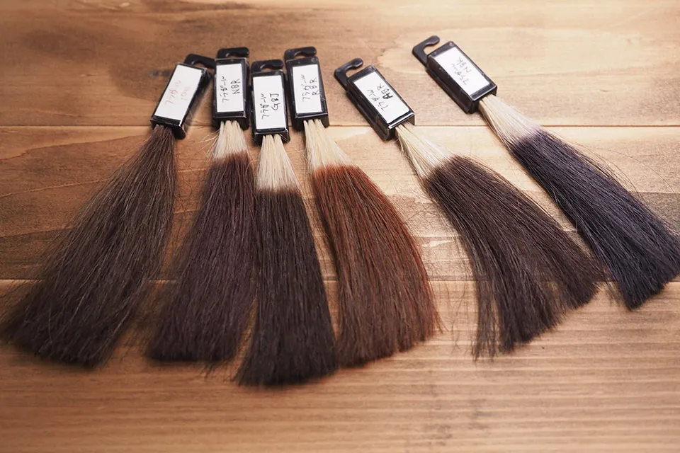 フラガール全色の染毛結果