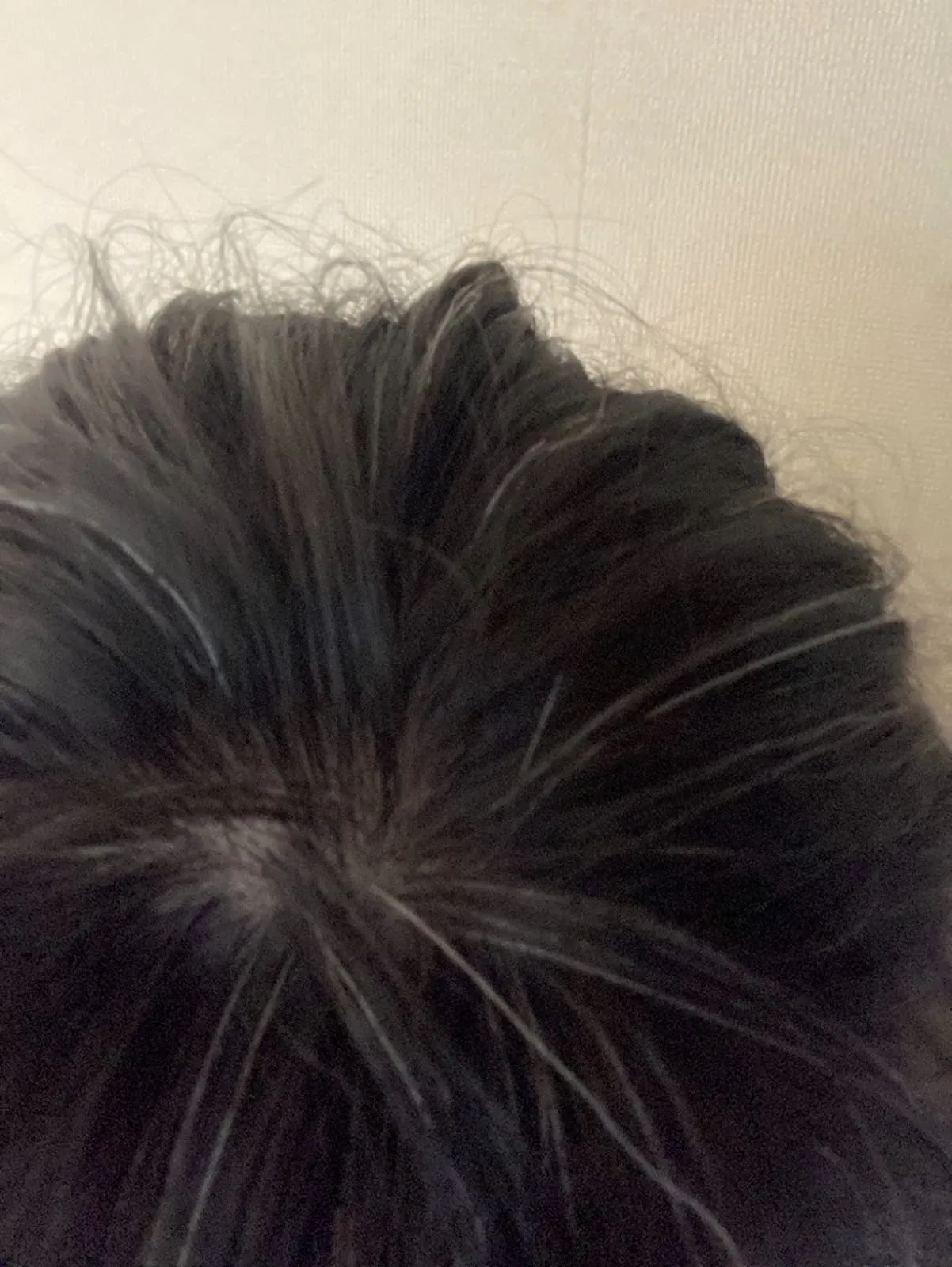 フラガールの染毛前