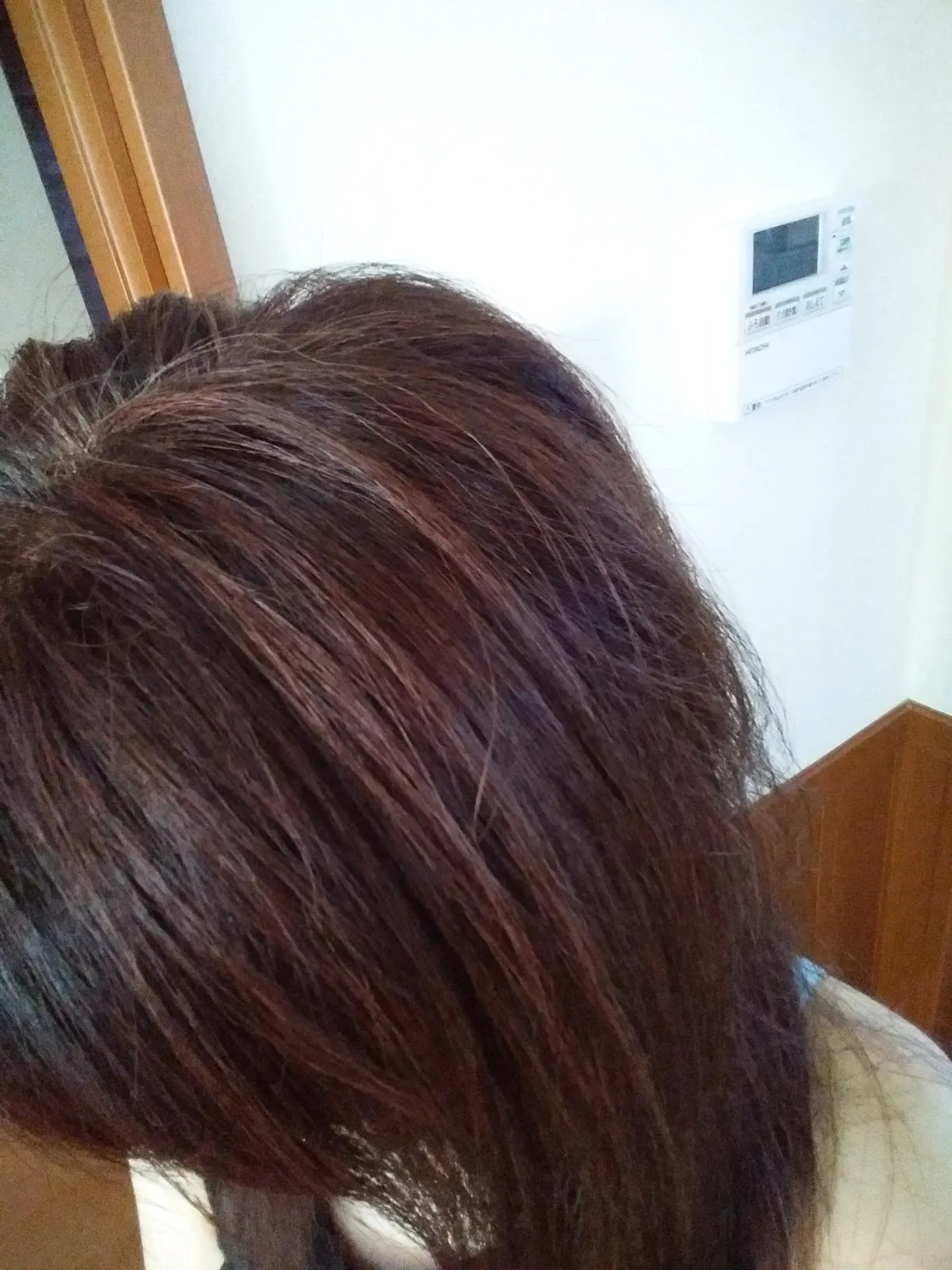 フラガールの染毛結果2