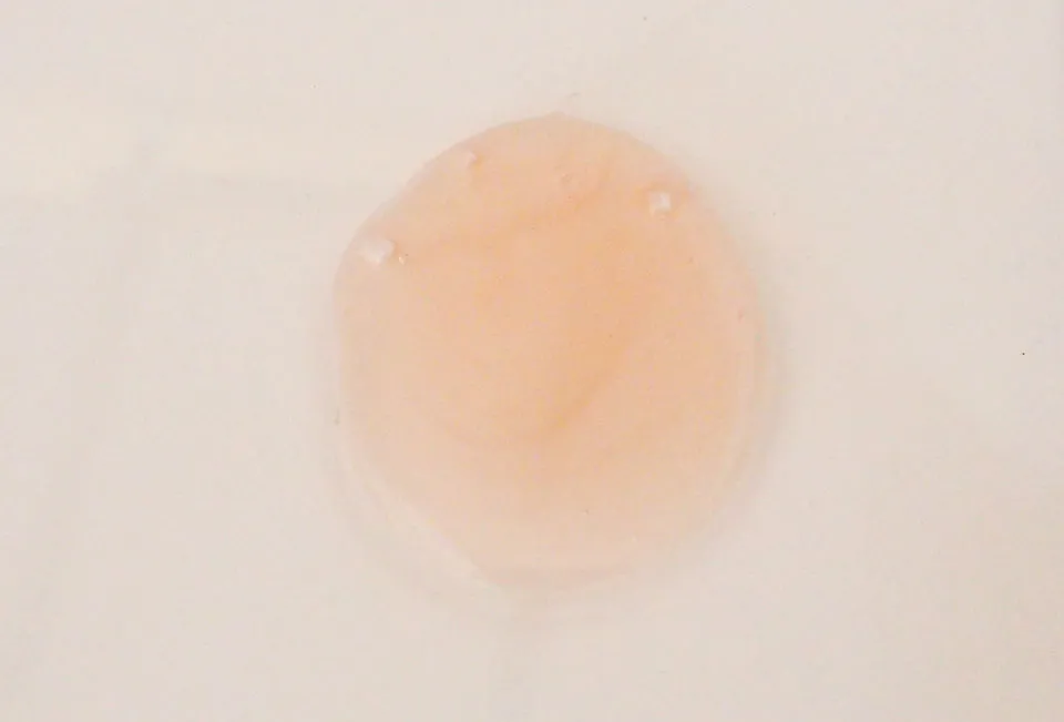 ラサーナシャンプー