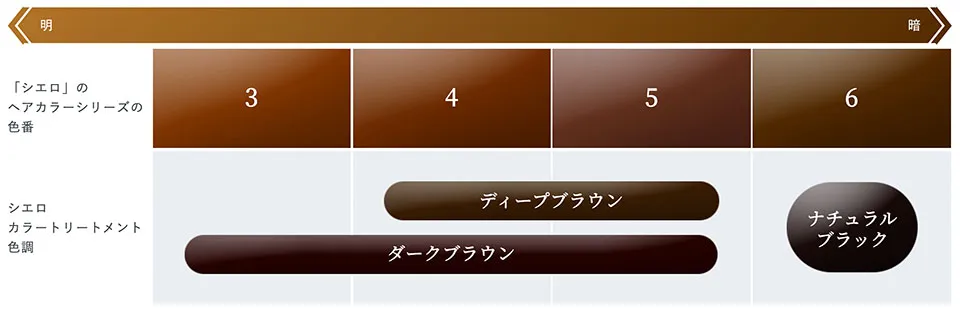 ヘアカラーとの色合わせ