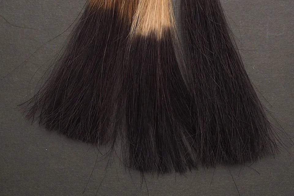 ヘアージュダークブラウンでブリーチ毛・ハイブリーチ毛・黒髪を染めて比較