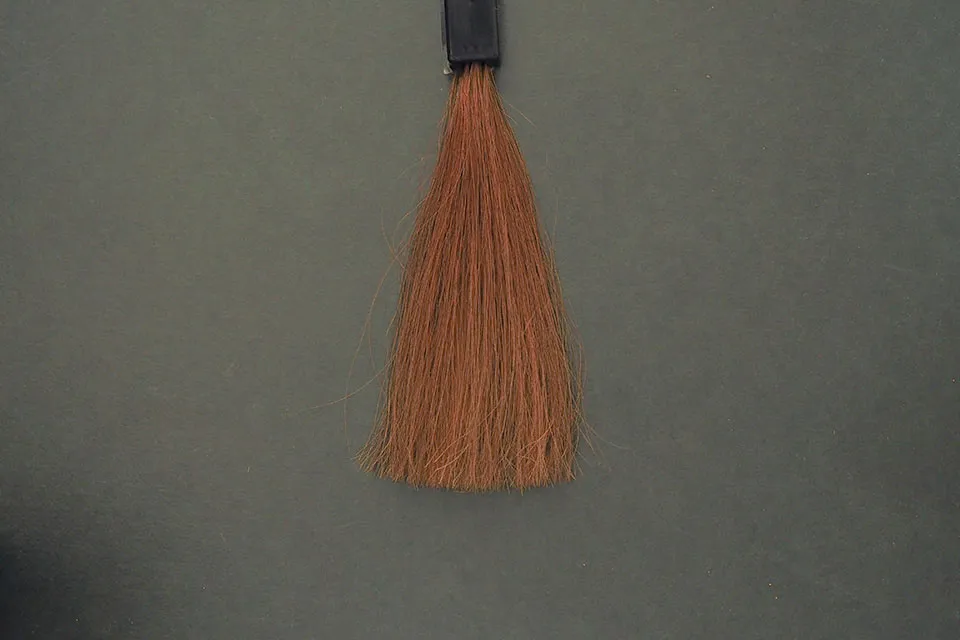 利尻カラーシャンプーライトブラウンの染毛写真