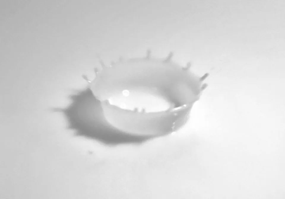 ミルククラウンの画像