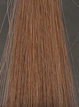 LPLP ヘアカラーフォームダークブラウン15分染毛1回目