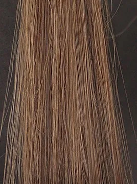 LPLP ヘアカラーフォームダークブラウン15分染毛2回目