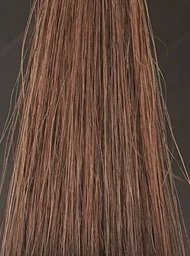 LPLP ヘアカラーフォームダークブラウン15分染毛3回目