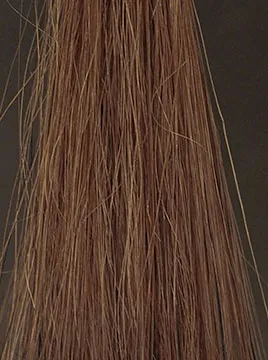 LPLP ヘアカラーフォームダークブラウン15分染毛4回目