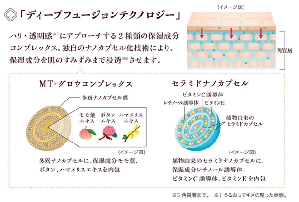 マイトルカプセル説明写真