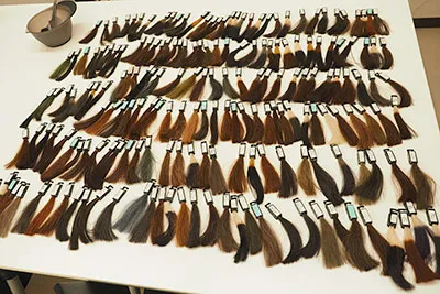 染毛テスト191回分