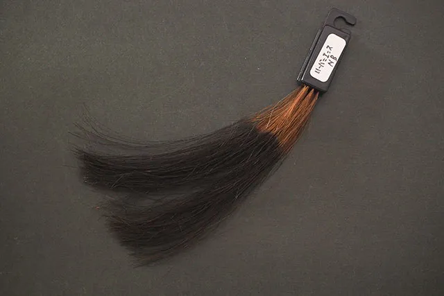 1回染毛時の仕上がり