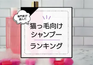 猫っ毛シャンプーおすすめランキング10選！ぺたんこ髪をふんわり髪に導くシャンプーを厳選比較 アイキャッチ画像