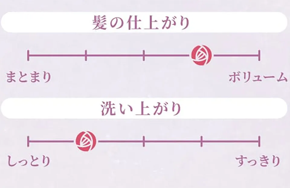 スカルプDボーテモイスト×ボリュームの仕上がり指標