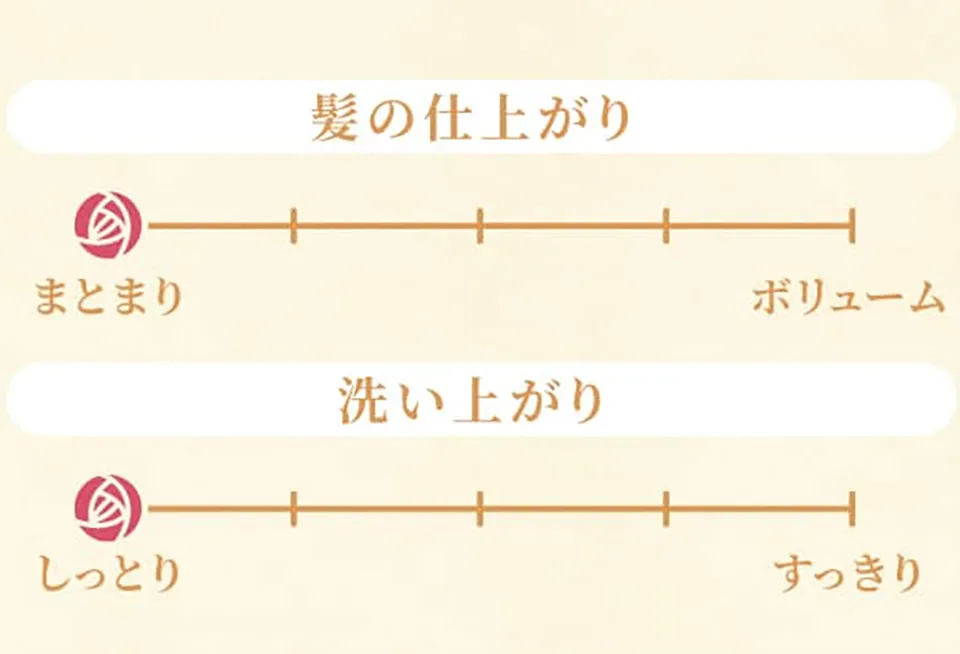 スカルプDボーテモイストの仕上がり指標