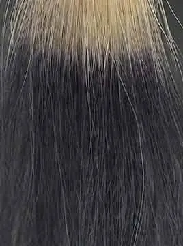 エアオーラソフトブラック3回染毛