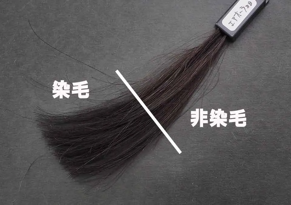 黒髪の染毛結果