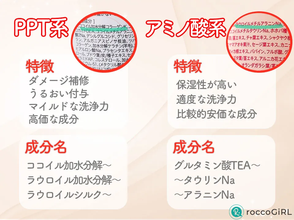 PPT系洗浄成分とアミノ酸系洗浄成分の特徴画像