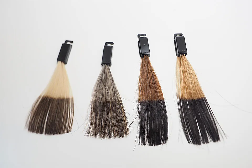 ソマリマス全種類5回染毛時の仕上がり