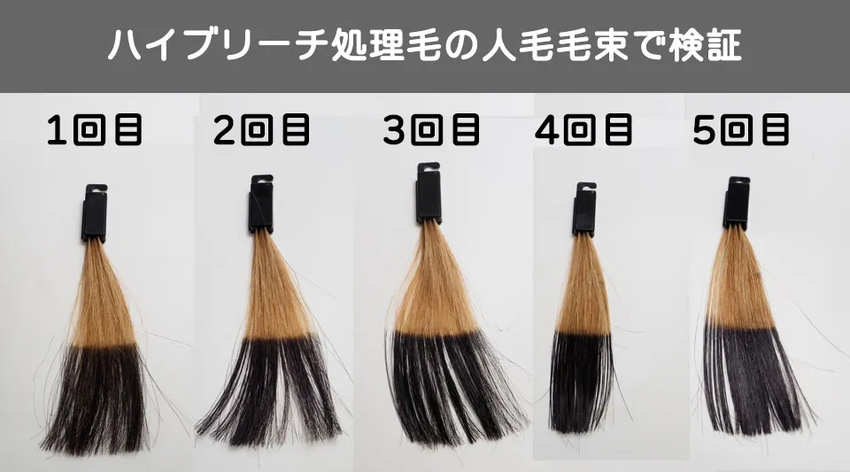 ソマリマス-ハイブリーチ処理毛の染毛結果
