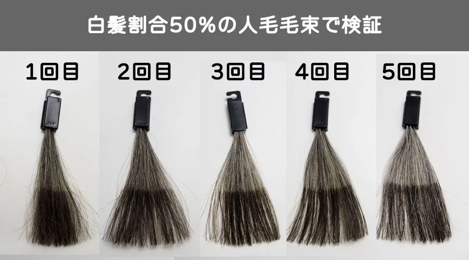 ソマリマス-白髪割合50%の染毛結果
