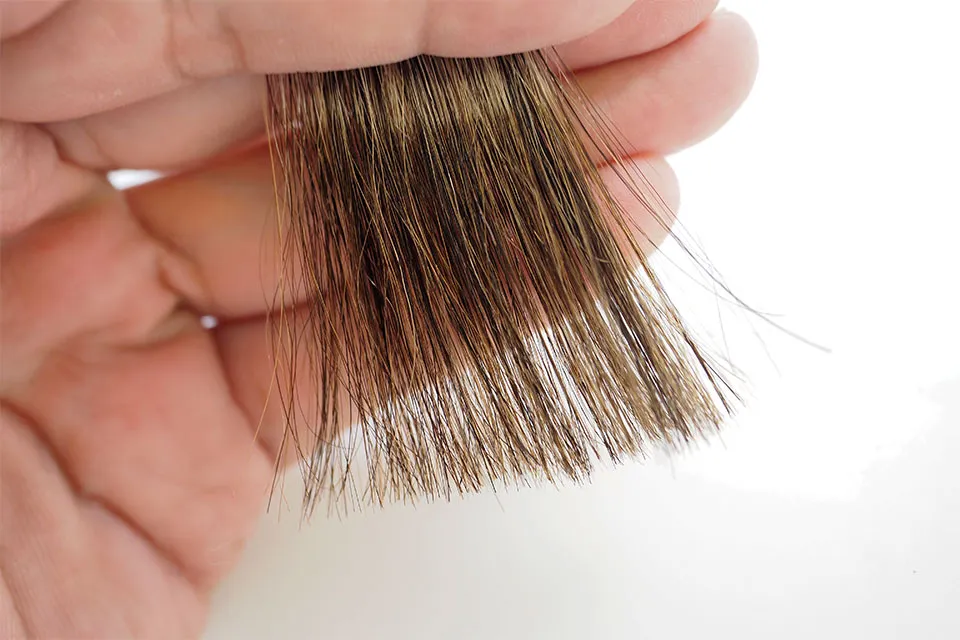 ソマリマス-白髪割合50%毛束の染まりをアップで確認