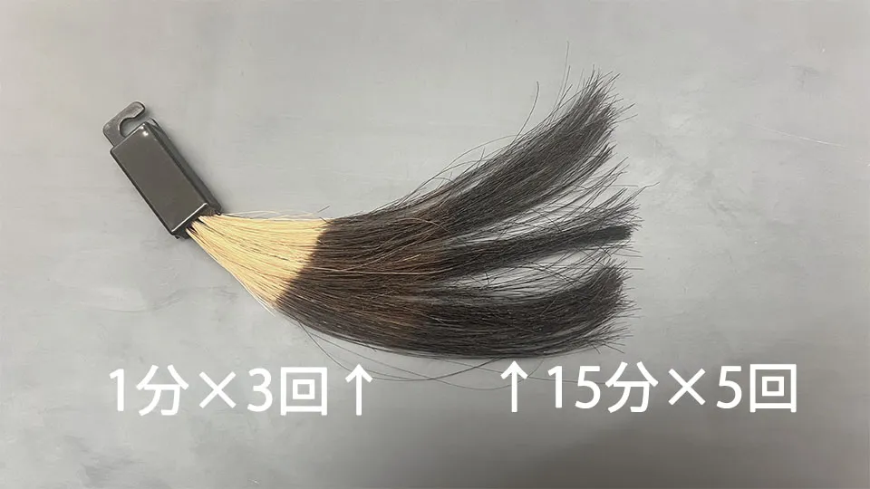 ソマリマスの1分染毛×3回