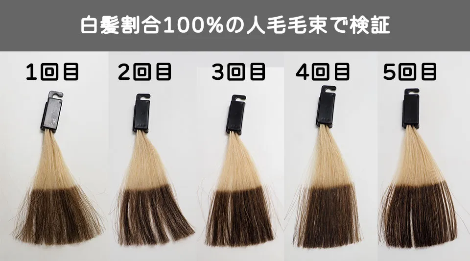 ソマリマス-白髪割合100%の染毛結果