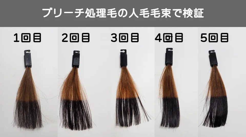 ソマリマス-ブリーチ処理毛束の染まり