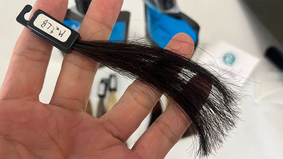 ミープラスで黒髪を染めるテスト