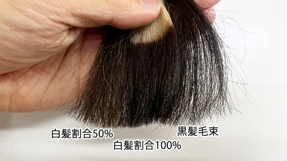 黒髪毛束とミープラスダークブラウンの染毛結果を比較