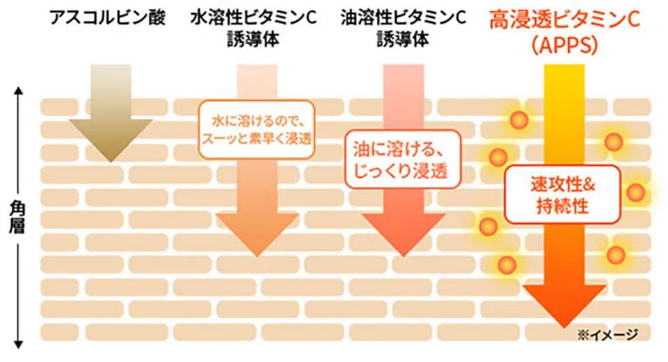 APPSの解説