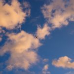 海外旅行も賢く節約♪LCCをお得に使えるコツ4選