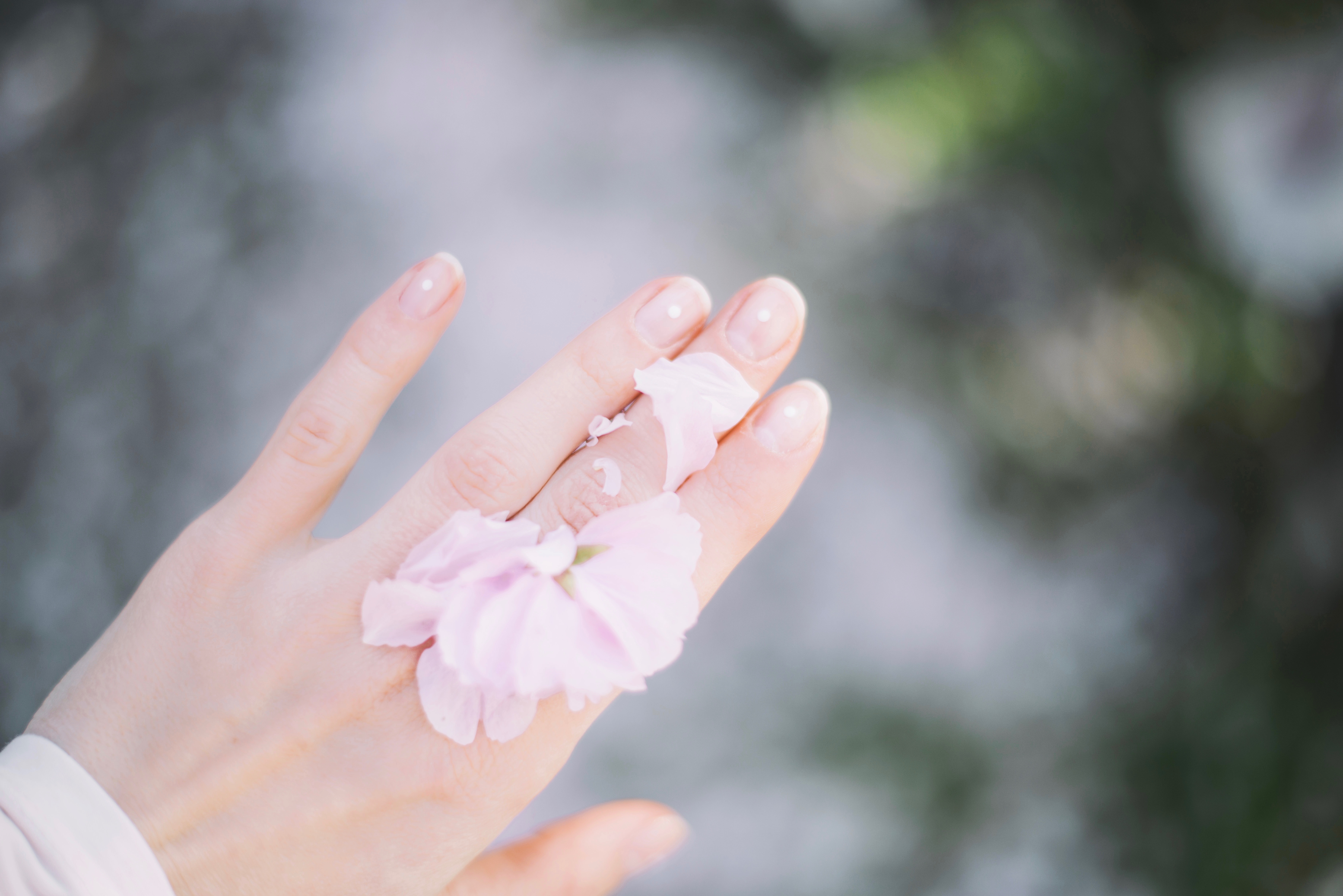 プチプラで人気の無印良品の化粧水。「敏感肌シリーズ」って本当に肌にいいの? アイキャッチ画像