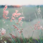 ピーリングおすすめ5選◎お肌のざらつきを落としてなめらか美肌に アイキャッチ画像