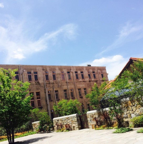 2017y06m05d_111151246