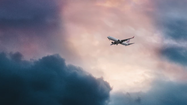 飛行機