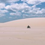 春の乾燥肌におすすめのボディオイル&クリームを紹介◎夏に向けてすべすべ肌になろう! アイキャッチ画像